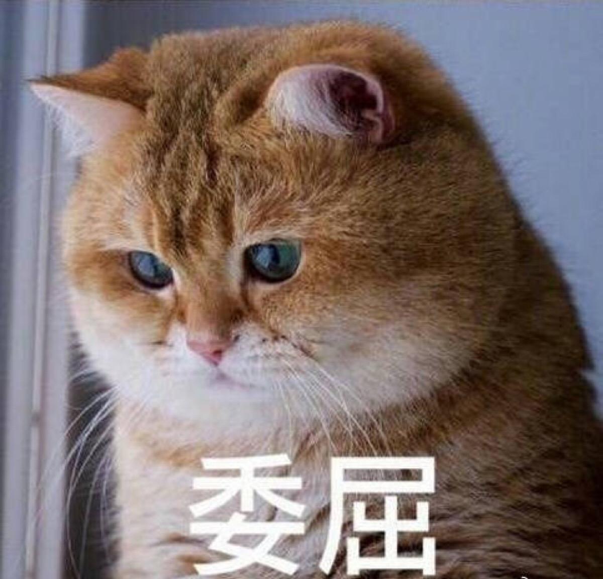 海参别沾油就行,海参不可不知的秘密