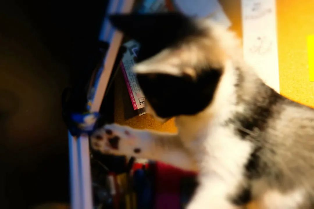 不让人省心的生肖,不让人省心的奶粉