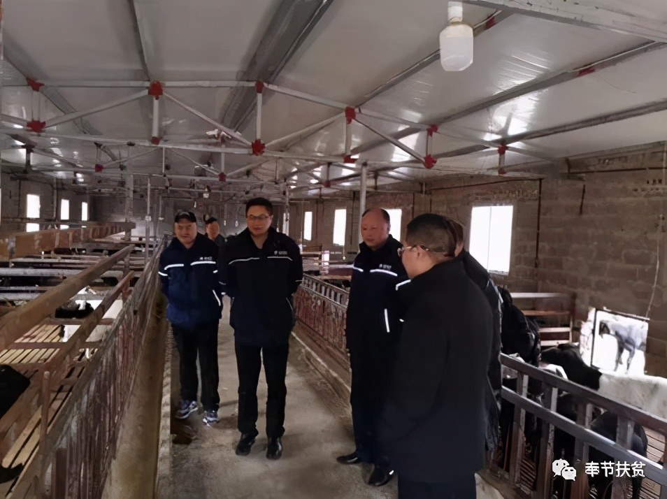 “老农家”龙仕勇：见证响水村“响”