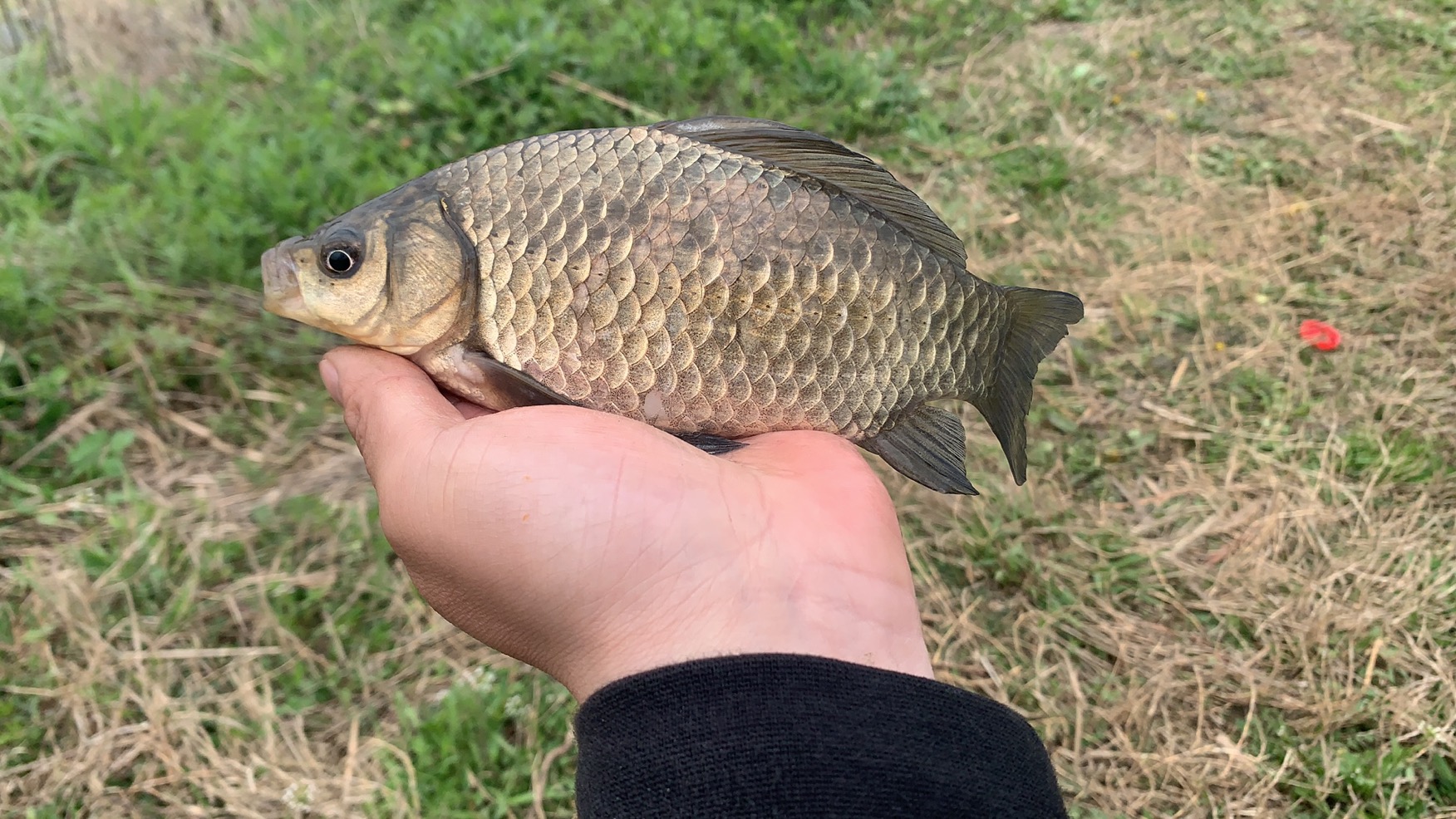 野钓打窝三个目的,野钓常用的3种打窝方式