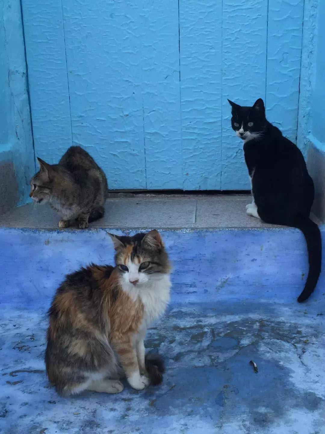 被上帝打翻了调色盘的北非国家，用“冰与火之歌”吸引了全世界！