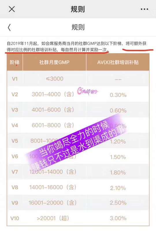 洋葱加盟怎么赚钱,洋葱加盟平台