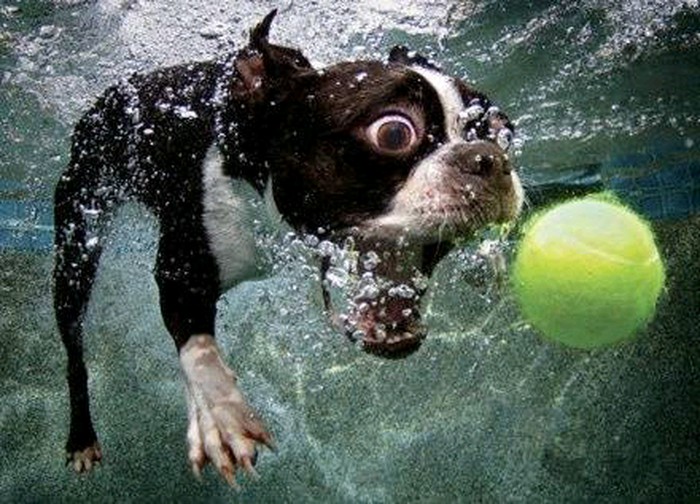 夜里歇斯底里的女孩,楼上的那个女人