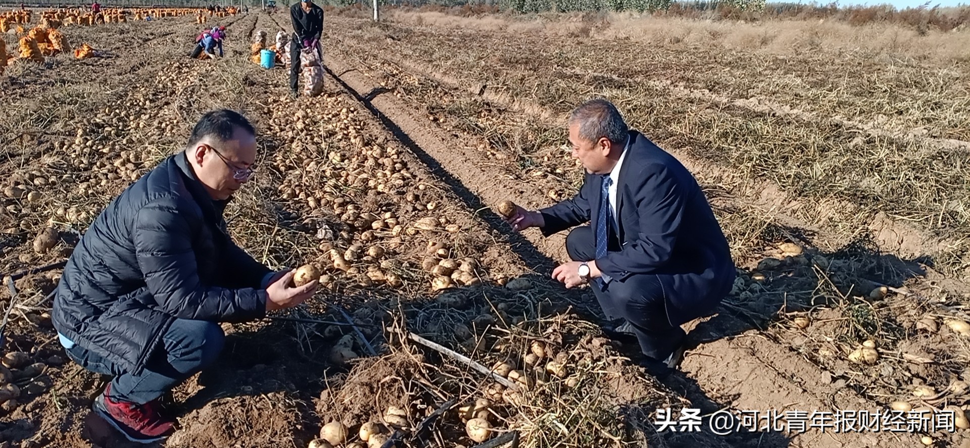 閲戣瀺娲绘按婊嬫鼎浜т笟鍙戝睍,閲戣瀺娲绘按娴囩亴涔℃潙