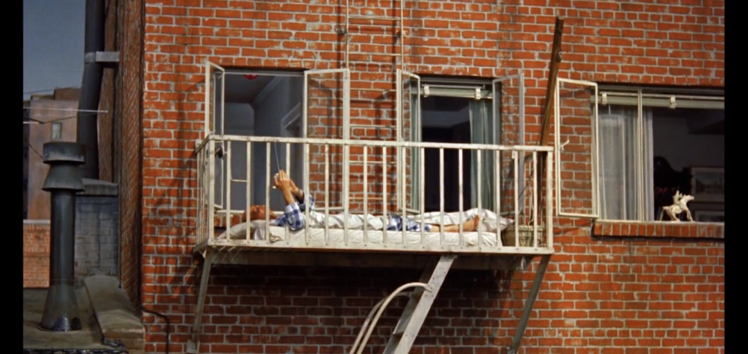 希区柯克经典电影后窗,希区柯克后窗艺术