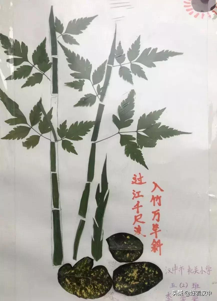 静谧之秋落叶有情汉中市北关小学树叶粘贴画展评