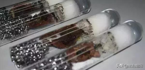 蝎子烟是什么毒,吸蝎子烟有毒吗