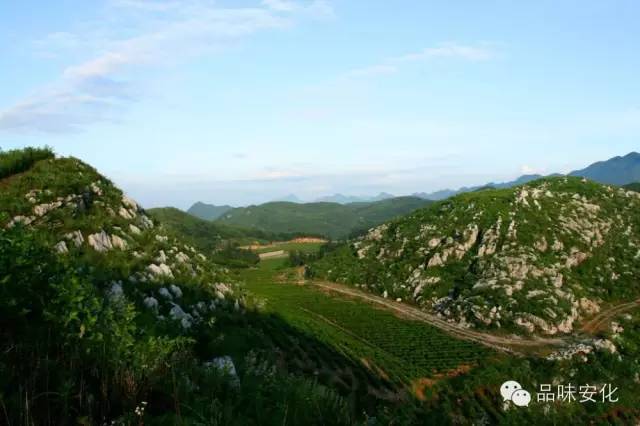 安化县哪里最好,安化有多出名