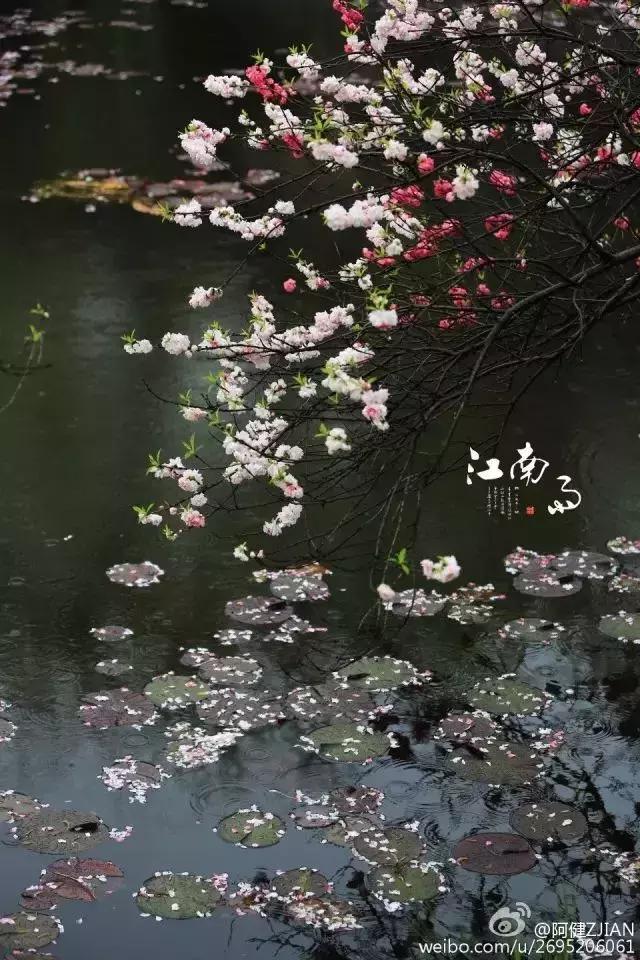 园林卡休闲卡,园林卡苏州市民卡