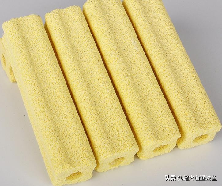 细菌屋养鱼有什么好处,养鱼细菌屋有什么用