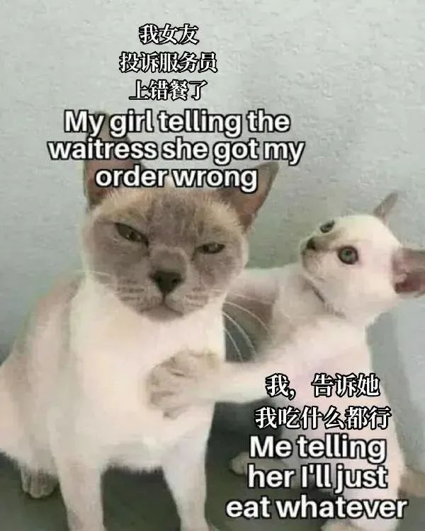 每日内涵囧图,每日囧图笑你一整天