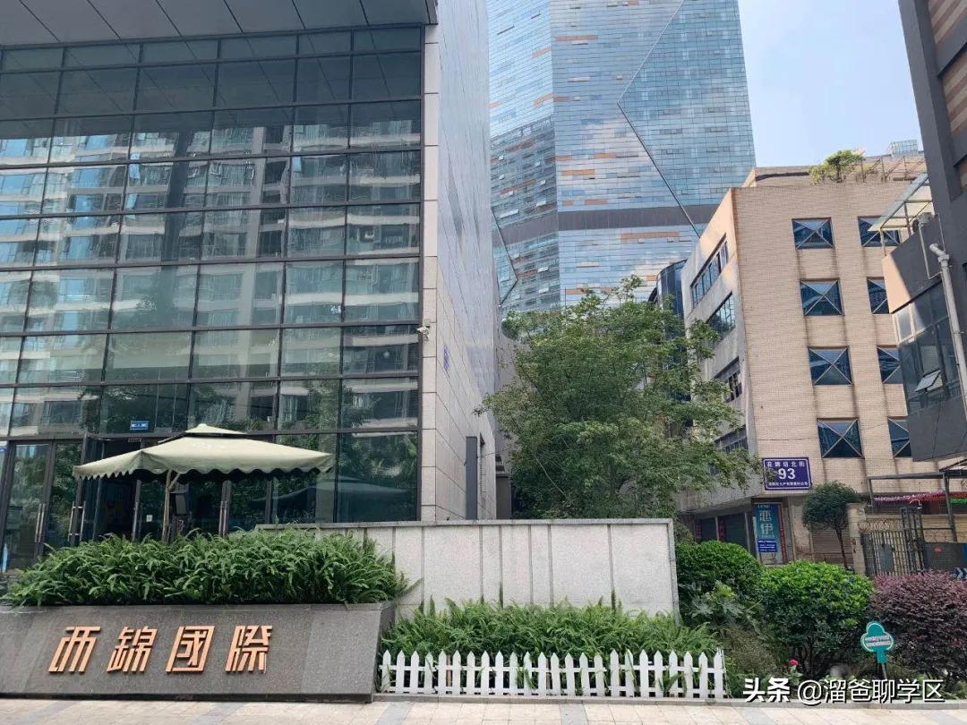 石笋街和茶店子小学怎么选,茶店子小学vs石笋街小学选哪个