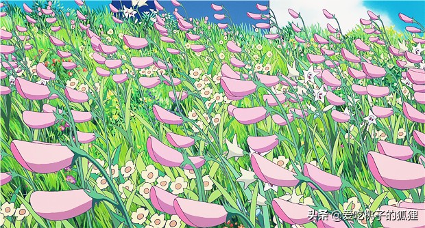 哈尔的移动城堡遇到苏菲,哈尔的移动城堡小清新爱情故事