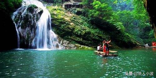 泡茶为什么要洗茶有什么讲究,泡茶哪些茶要洗茶