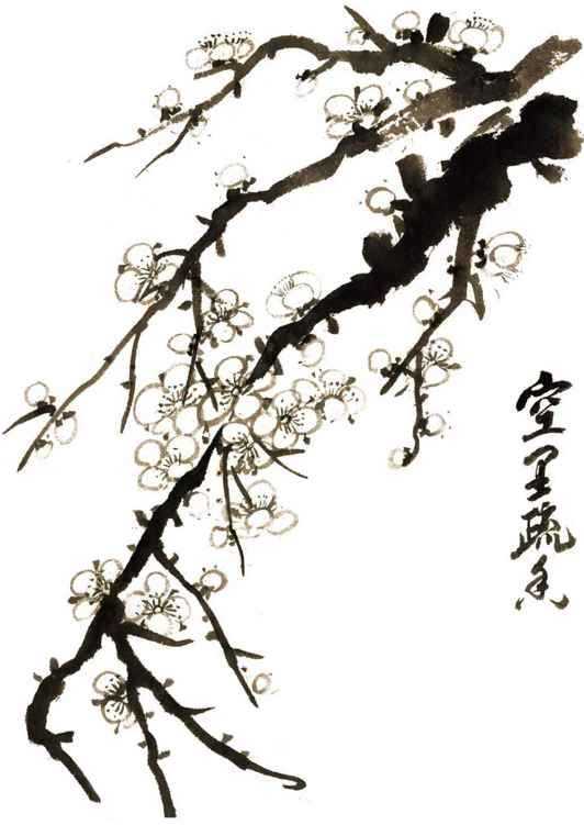 国画梅花上的雪画法步骤教程视频,零基础国画入门画梅花教程