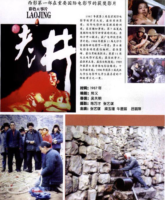 吕丽萍和张丰毅为何离婚,吕丽萍后悔与张丰毅离婚吗