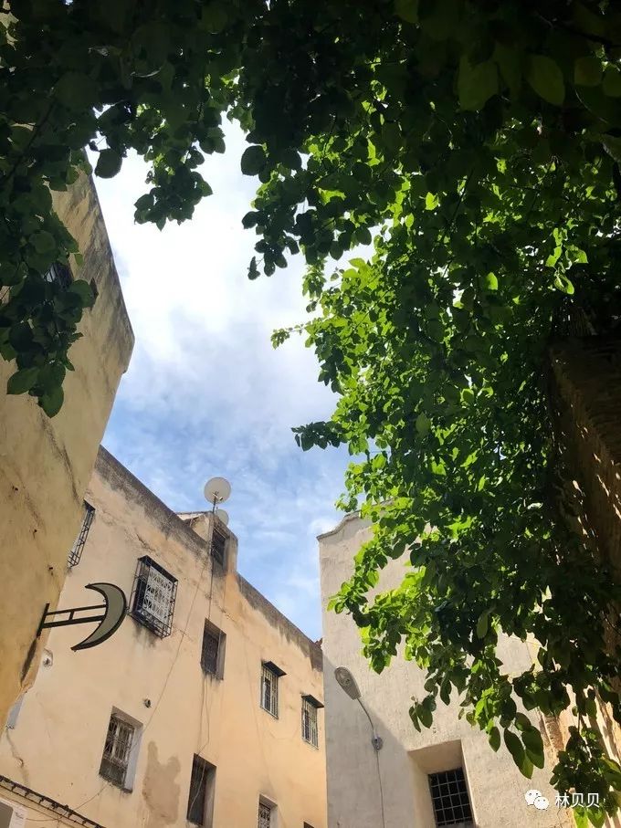 摩洛哥10天,摩洛哥12天瘦5斤减肥成功案例