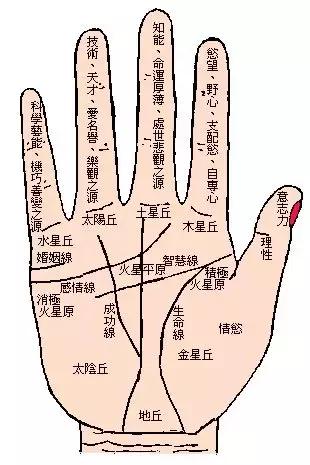 手相解密,手相掌纹分析学