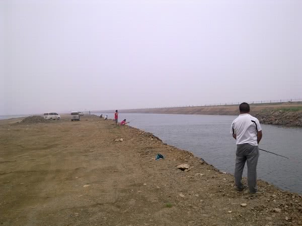 野钓各种鱼吃饵,新手野钓鱼食
