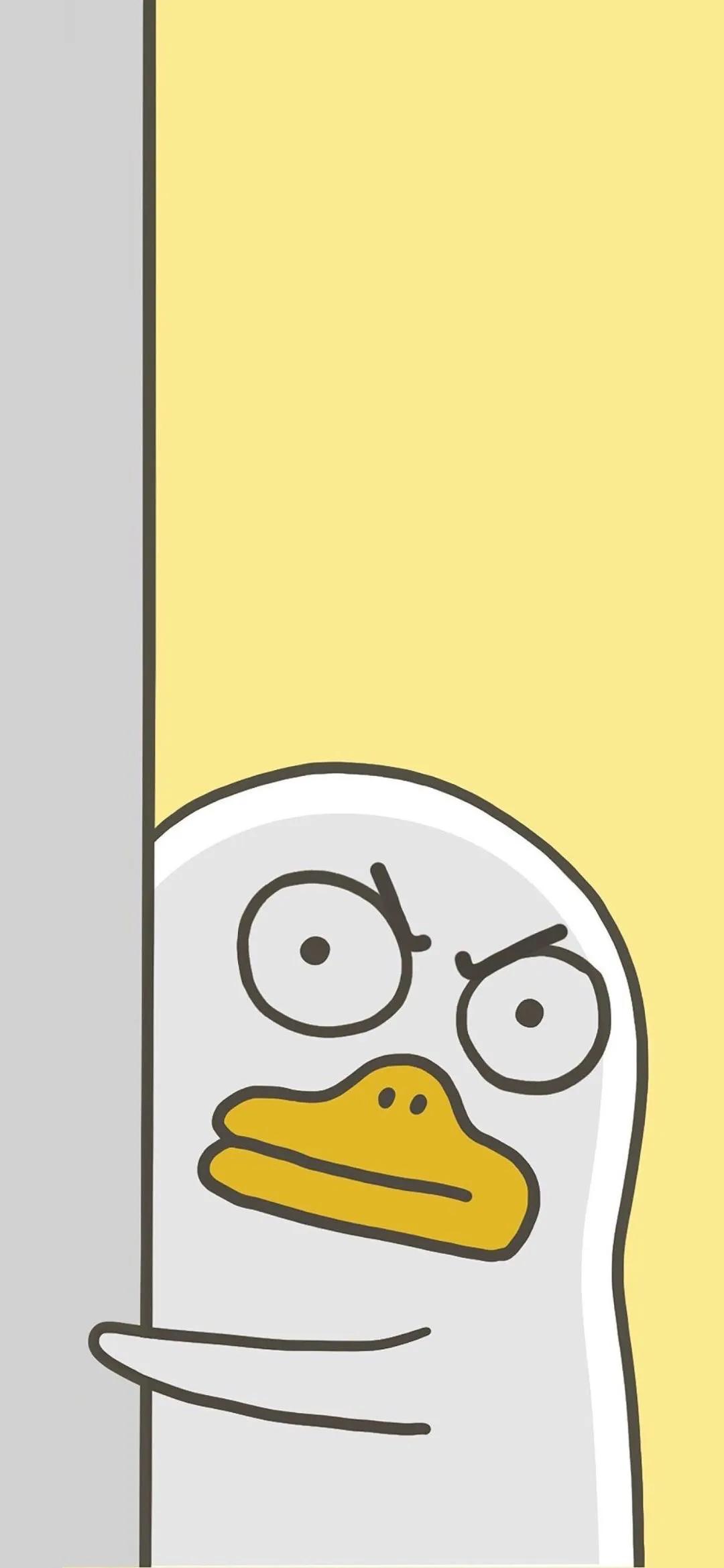 安卓苹果壁纸小组件,安卓手机苹果壁纸