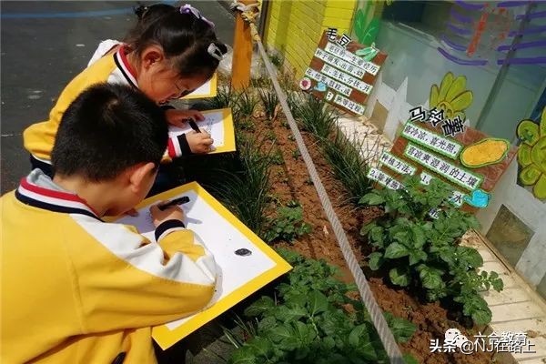 九江普惠性私立幼儿园,好消息幼儿园招生