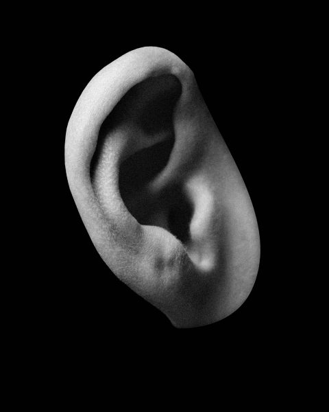 布里斯托尔足球队,布里斯托城足球俱乐部英超