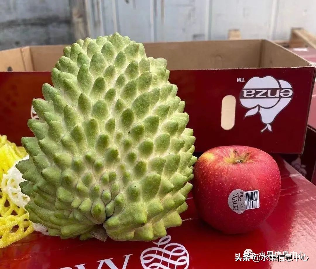 目前释迦最好的品种,粉色释迦