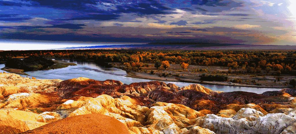 疫情志愿者日记,新疆疫情期间志愿者感言