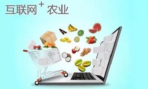 90后残疾人创业事迹,白手起家创业故事残疾人