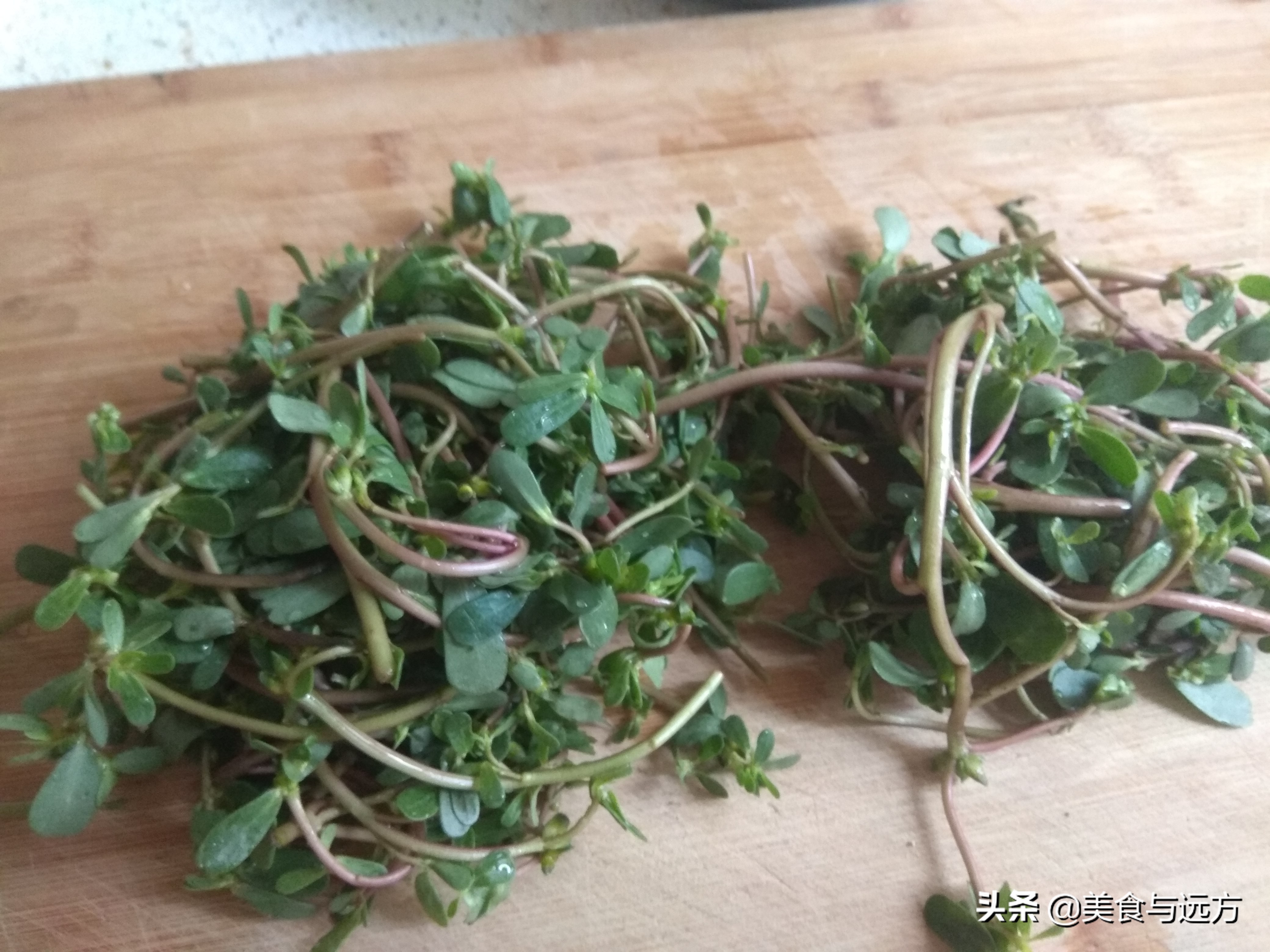 晒干的马齿苋怎么吃有什么功效,马齿苋最好吃的做法及禁忌