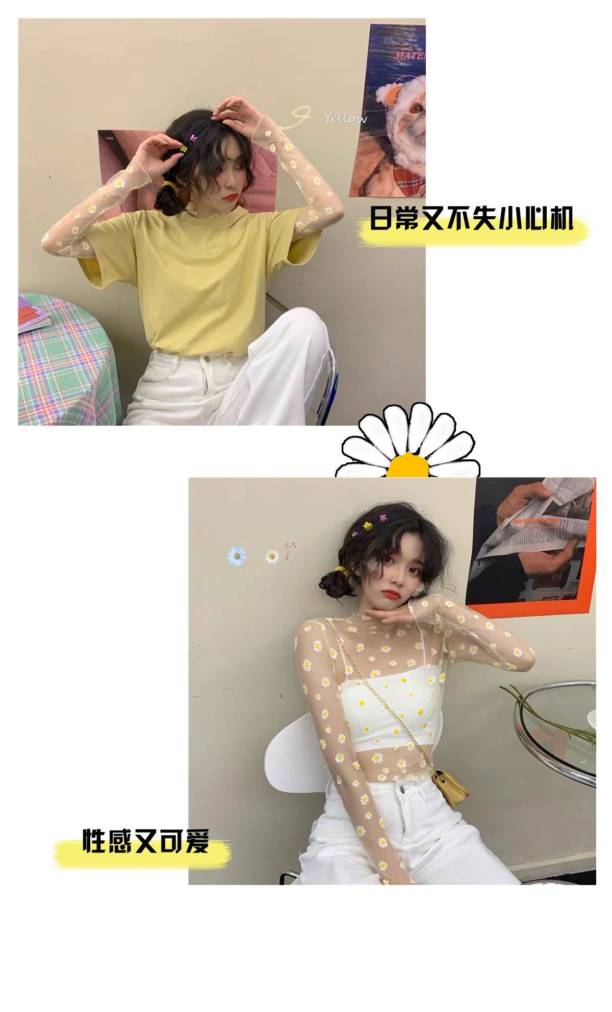 小雏菊带香味,小雏菊花果香