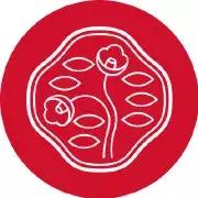 最值得入手的十款气垫,2021必买大牌气垫前十名