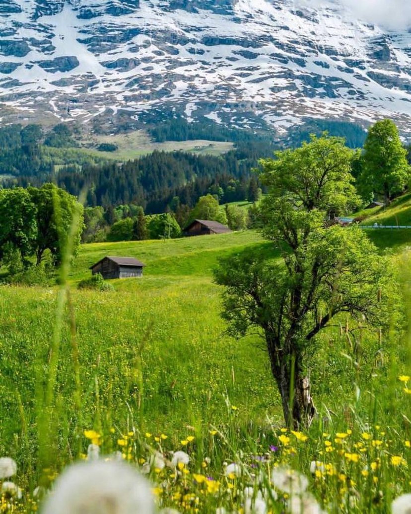 40岁女护士卵巢癌术后，左下腹长出了一个大瘤子，还粘住了血管，