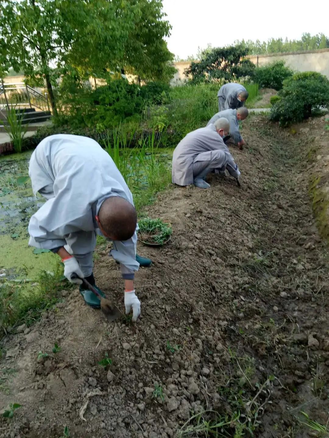 抢抓农时开展农业生产,农民纷纷抢抓春耕生产有利时机