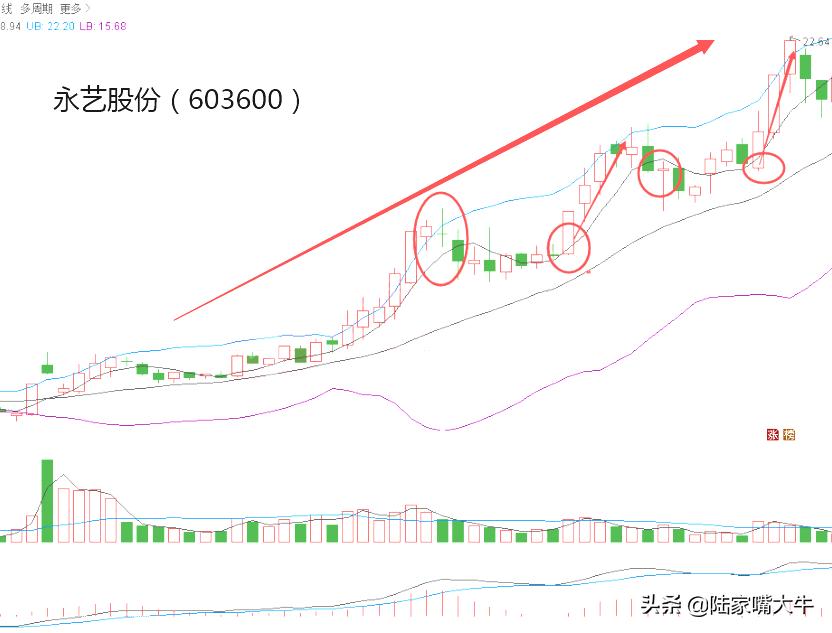 布林线叠加5日均线战法,5日均线买入股票实例