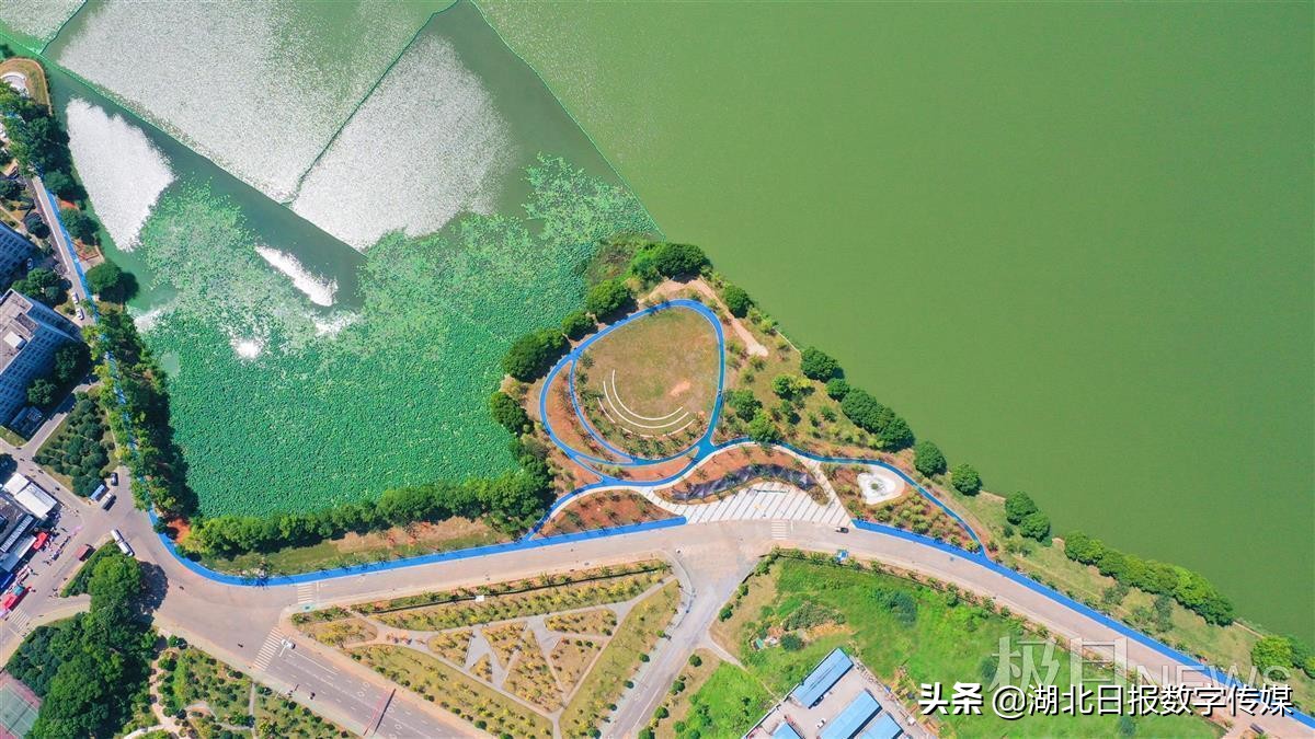 涓崡璐㈠ぇ鍗楁箹缁块亾,璐㈠ぇ鍗楁箹缁块亾