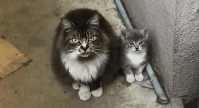 24岁男子喜当爹去派出所,90后男子相亲被误当爹