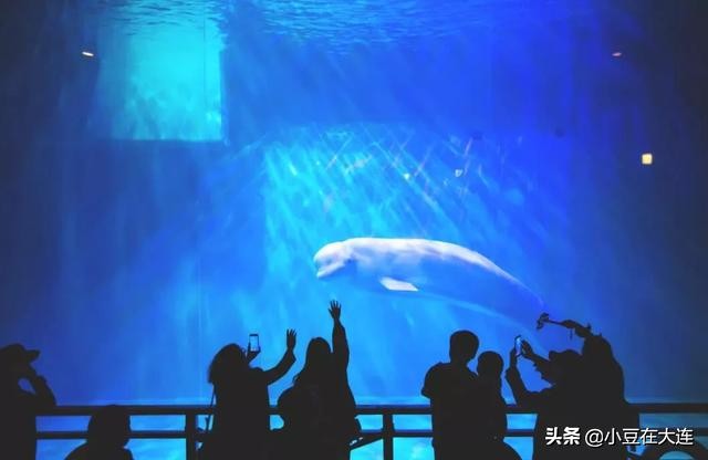 大连冬天都适合去哪玩,大连冬天有哪些能玩的地方