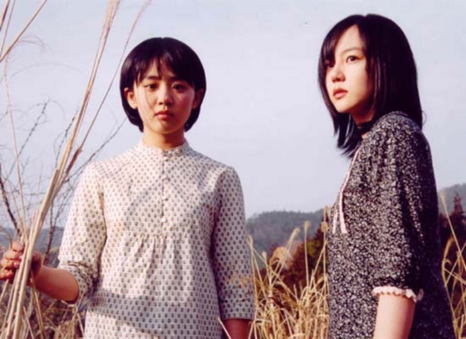 寄生虫韩国电影总结,韩国电影寄生虫获得奥斯卡