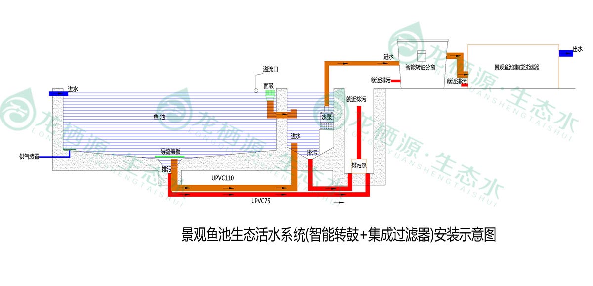 锦鲤鱼池过滤系统推荐,锦鲤鱼池过滤系统的施工过程
