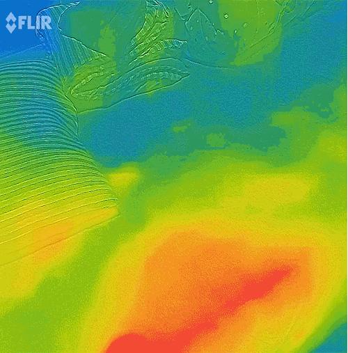 电热毯和水暖毯哪种好用,电热毯和水暖毯哪种好销量第一名