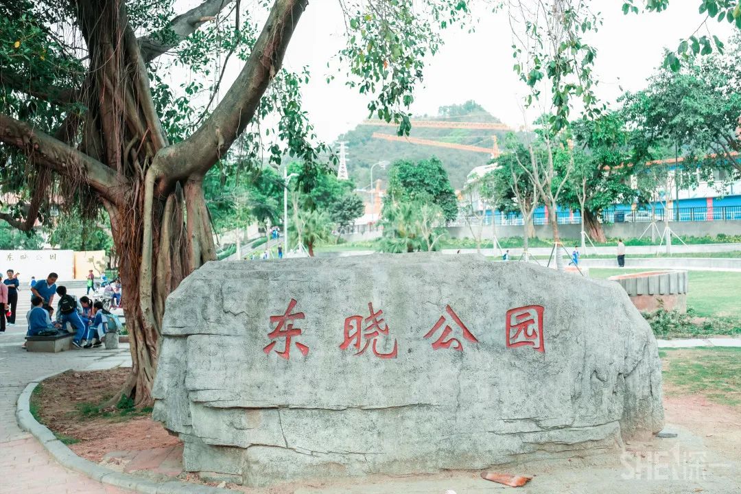 疫情期间免费开放的公园,疫情期间开放的公园有哪些