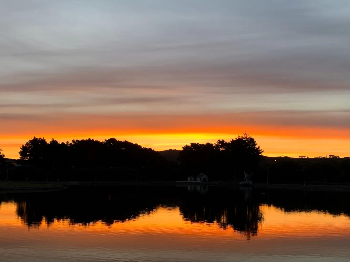 新西兰移民合集,新西兰移民的真实情况