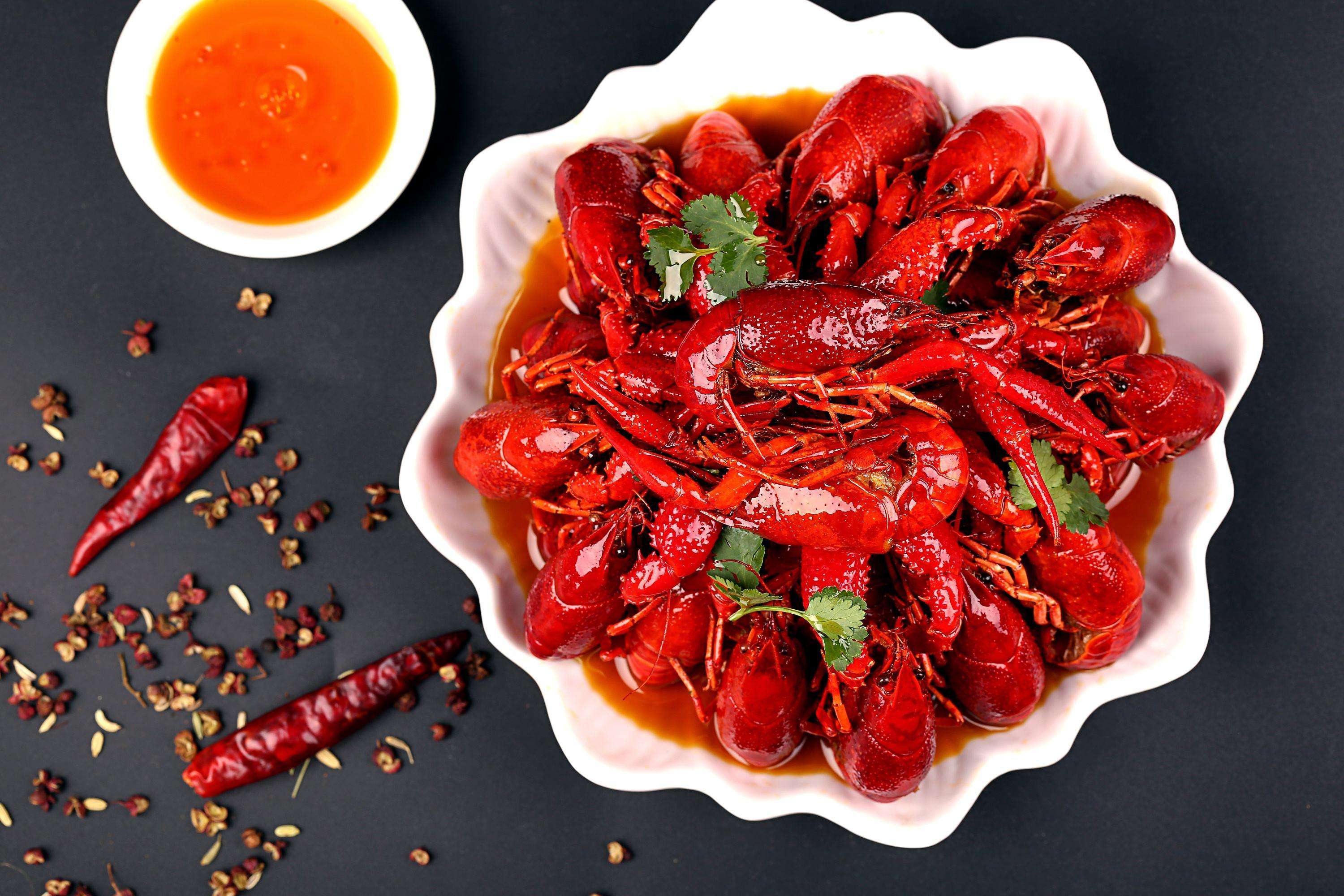 巴哥犬最怕吃什么食物,巴哥犬绝对不能吃的九种食物