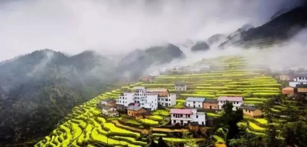 春暖花开的季节我和你如期相约,醉美开化油菜花