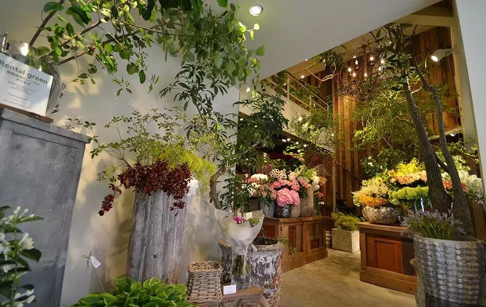 日本最有名的花店,日本青山花店