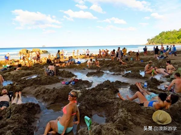 新西兰旅游景点北岛图片大全,新西兰北岛旅游游玩攻略