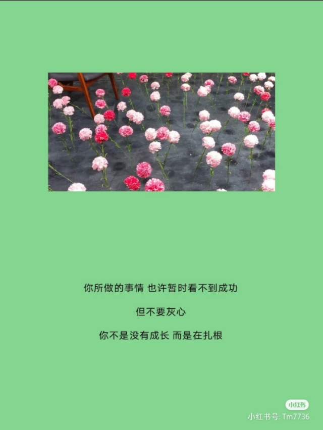 快手情感语录说说大全短句,快手说说句子热门爱情伤感