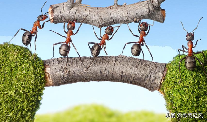 人生感悟生活真谛,人生最好的生活态度就是从容淡定