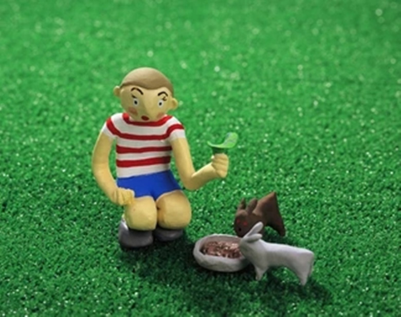 兔子饲养方法玉米可以喂兔子吗,饲养兔子的正确方法小视频